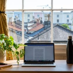 Laptop mit Zimmerpflanze vor einem Fenster